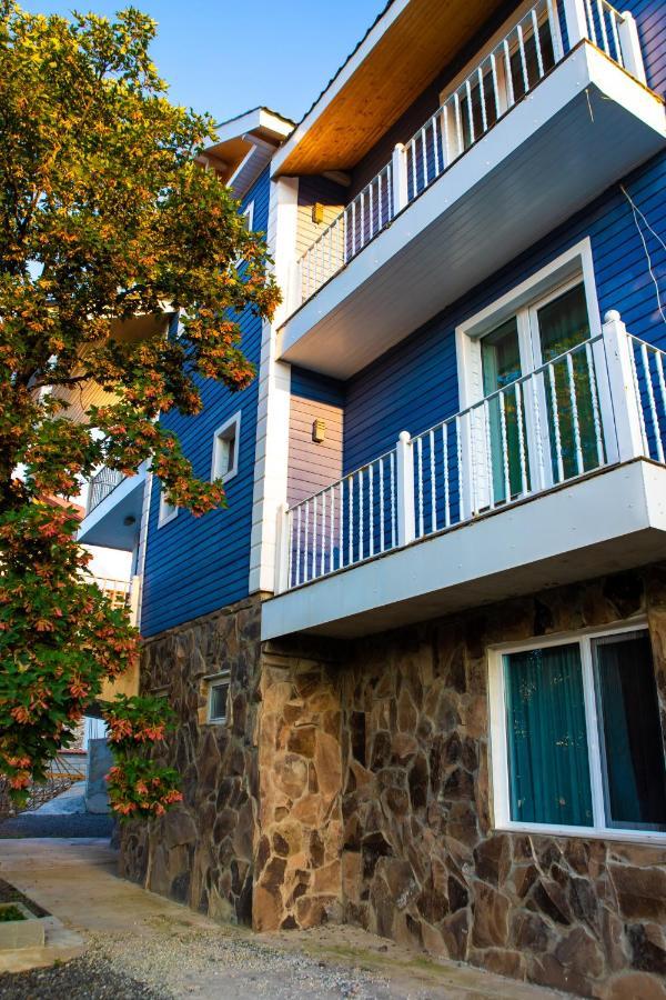 Blue Heaven Hotel Bakuriani Exterior photo